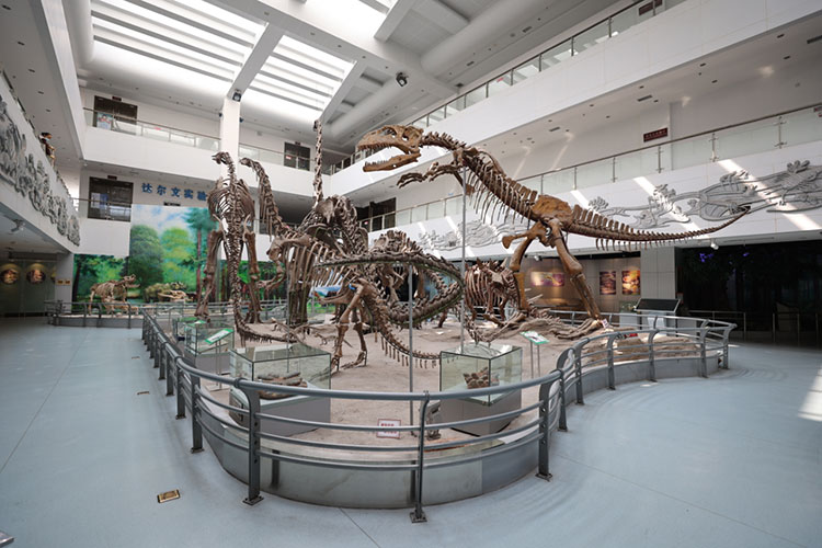 中國(guó)地質(zhì)大學(xué)(武漢)-地大熱能 中國(guó)地質(zhì)大學(xué)(武漢)-地大熱能