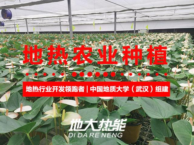 濟(jì)南：“地?zé)崮?農(nóng)業(yè)”產(chǎn)業(yè)融合，讓地?zé)崮苷嬲盁帷逼饋?lái)-地大熱能