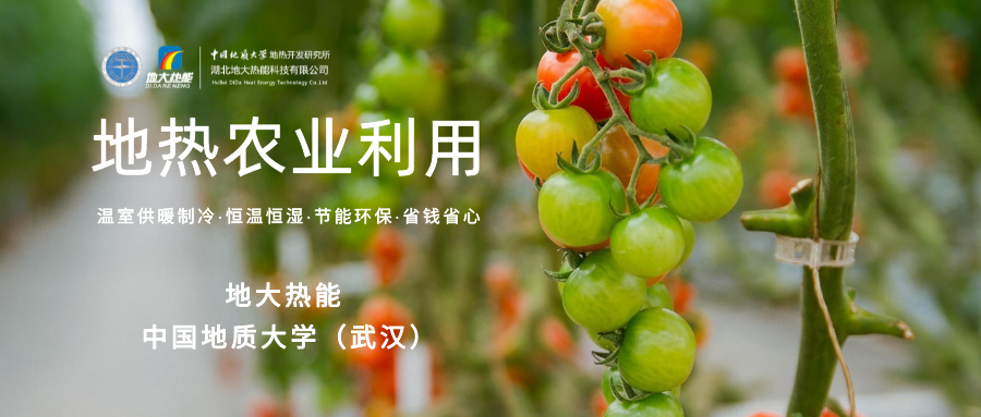 利用地?zé)峤鉀Q糧食生產(chǎn)問(wèn)題并促進(jìn)發(fā)展-地?zé)豳Y源開發(fā)利用-地大熱能